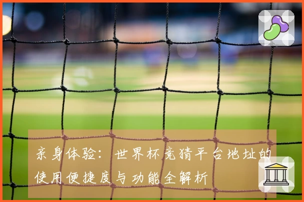 亲身体验：世界杯竞猜平台地址的使用便捷度与功能全解析