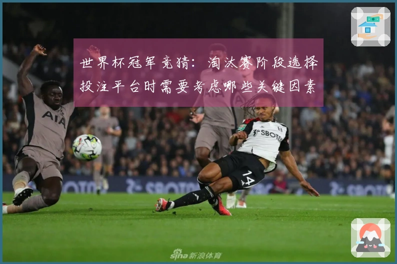 世界杯冠军竞猜：淘汰赛阶段选择投注平台时需要考虑哪些关键因素