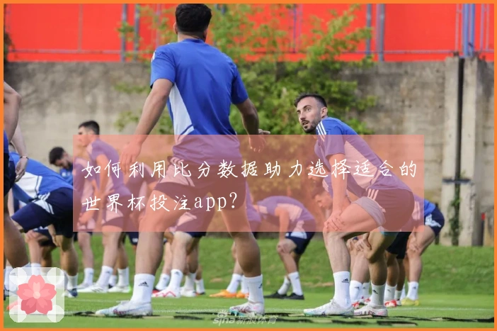 如何利用比分数据助力选择适合的世界杯投注app？