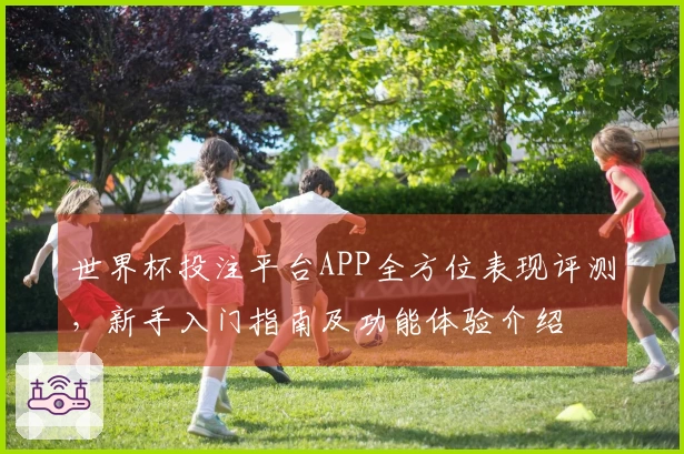世界杯投注平台APP全方位表现评测，新手入门指南及功能体验介绍