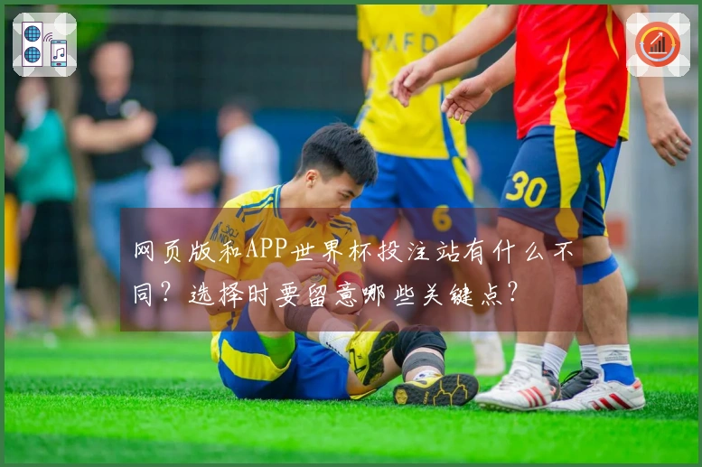 网页版和APP世界杯投注站有什么不同？选择时要留意哪些关键点？