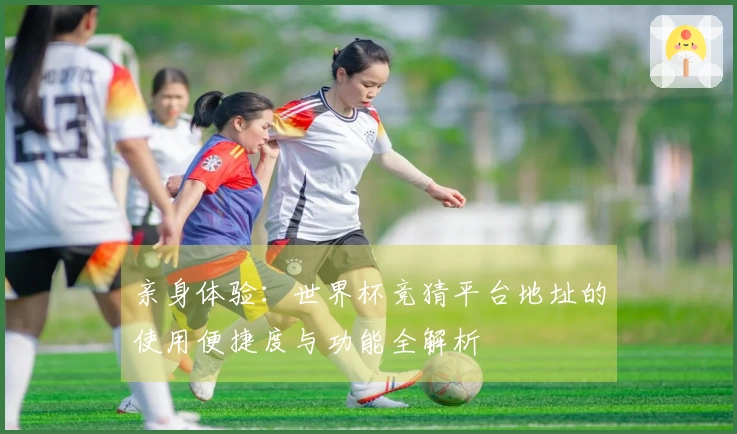 亲身体验：世界杯竞猜平台地址的使用便捷度与功能全解析