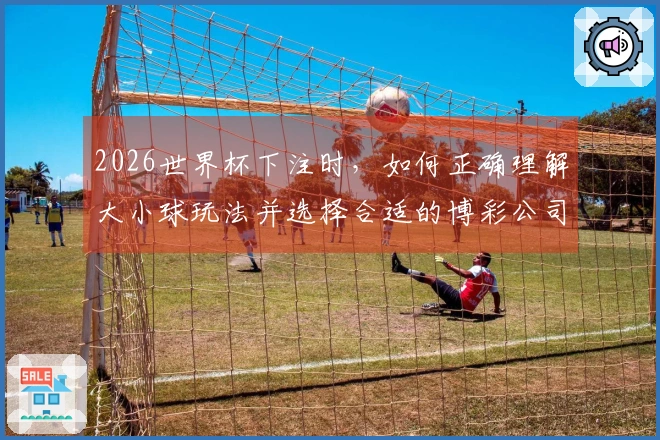 2026世界杯下注时，如何正确理解大小球玩法并选择合适的博彩公司-