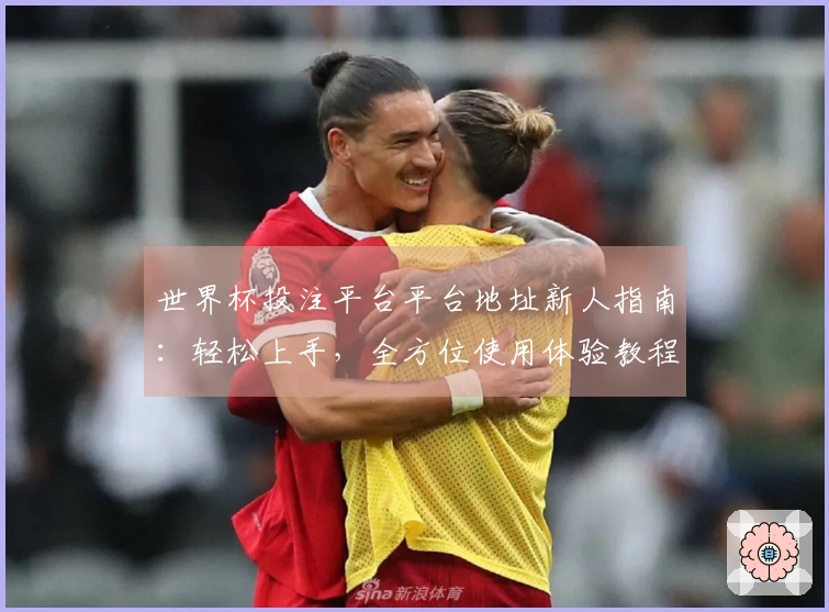 世界杯投注平台平台地址新人指南：轻松上手，全方位使用体验教程