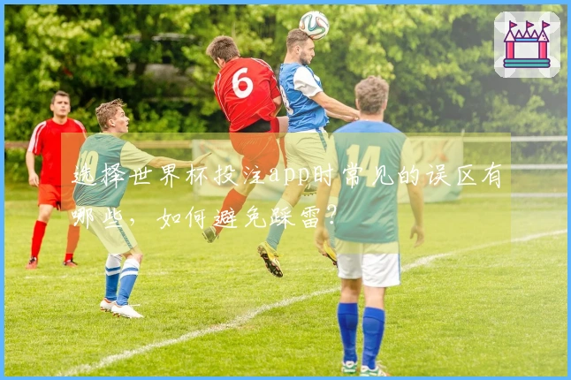 选择世界杯投注app时常见的误区有哪些，如何避免踩雷？