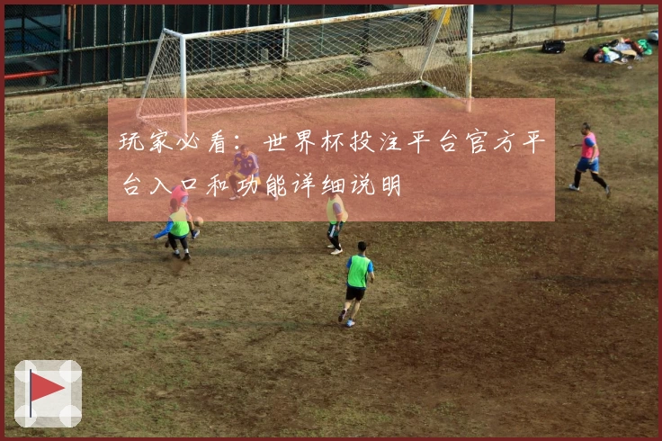 玩家必看：世界杯投注平台官方平台入口和功能详细说明