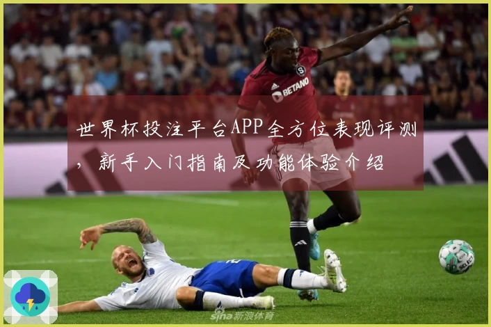 世界杯投注平台APP全方位表现评测，新手入门指南及功能体验介绍