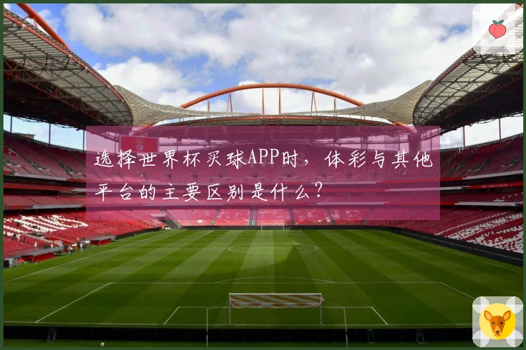 选择世界杯买球APP时，体彩与其他平台的主要区别是什么？
