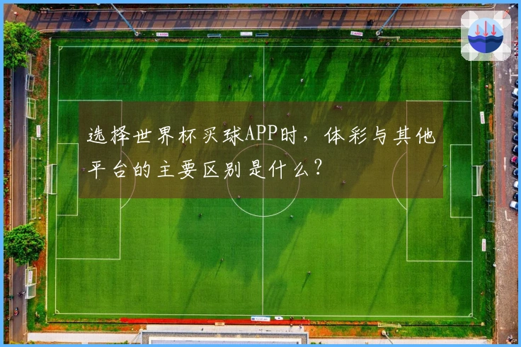 选择世界杯买球APP时，体彩与其他平台的主要区别是什么？