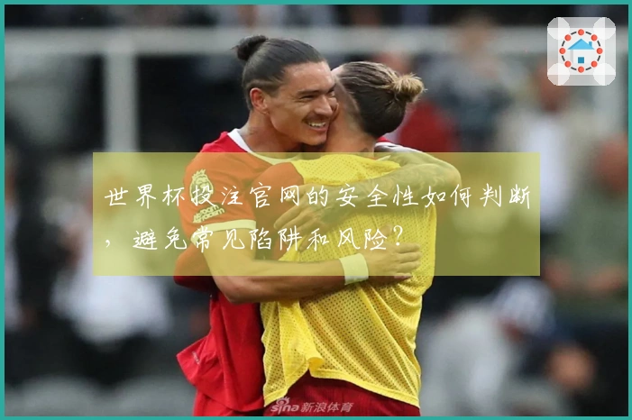 世界杯投注官网的安全性如何判断，避免常见陷阱和风险？