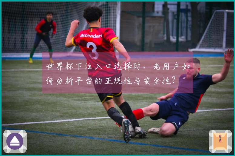 世界杯下注入口选择时，老用户如何分析平台的正规性与安全性？