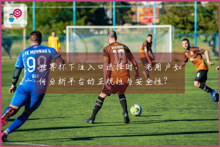 世界杯下注入口选择时，老用户如何分析平台的正规性与安全性？
