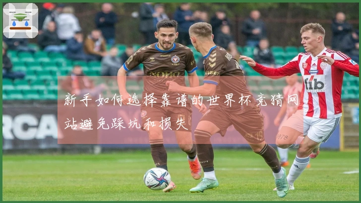 新手如何选择靠谱的世界杯竞猜网站避免踩坑和损失