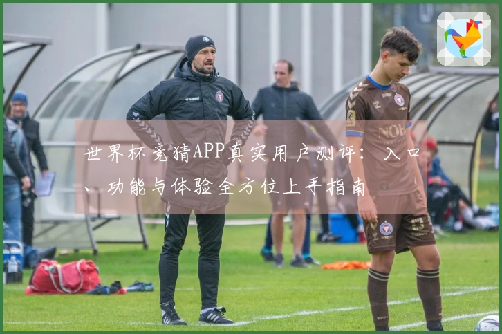 世界杯竞猜APP真实用户测评：入口、功能与体验全方位上手指南
