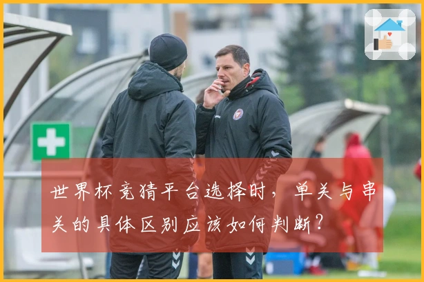 世界杯竞猜平台选择时,单关与串关的具体区别应该如何判断?