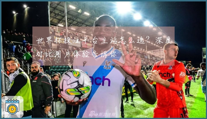 世界杯投注平台主站怎么选？深度对比用户体验告诉你